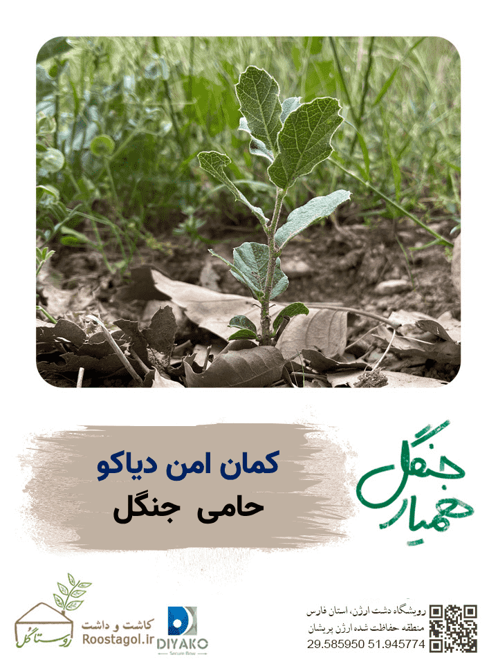 کمان امن دیاکو حامی جنگل