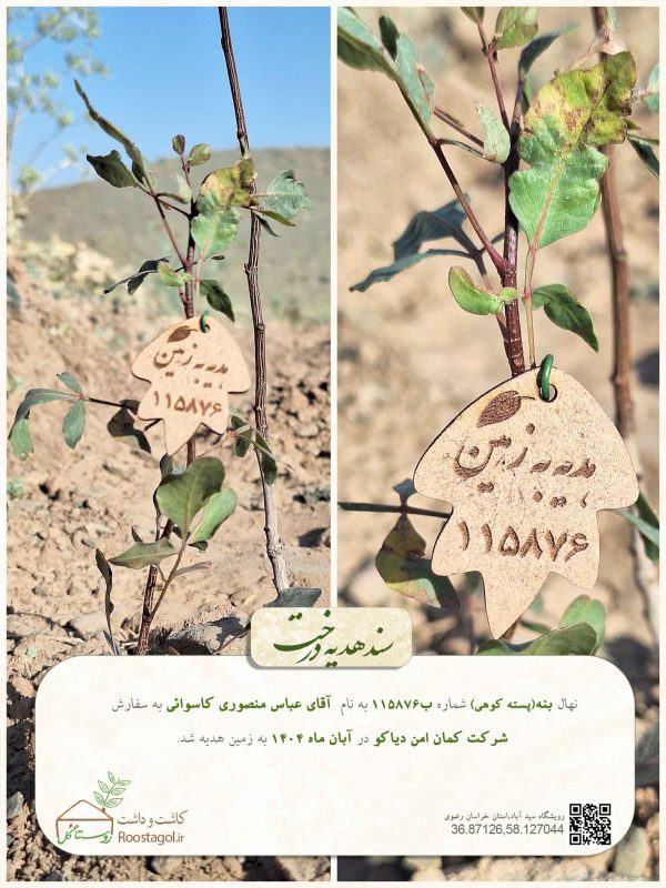 آقای-عباس-منصوری-کاسوائی