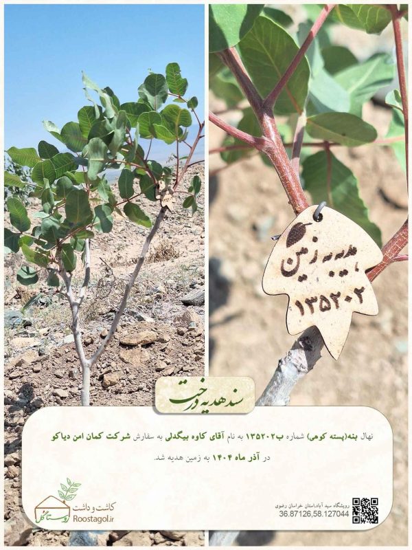 آقای کاوه-نیکدل-1