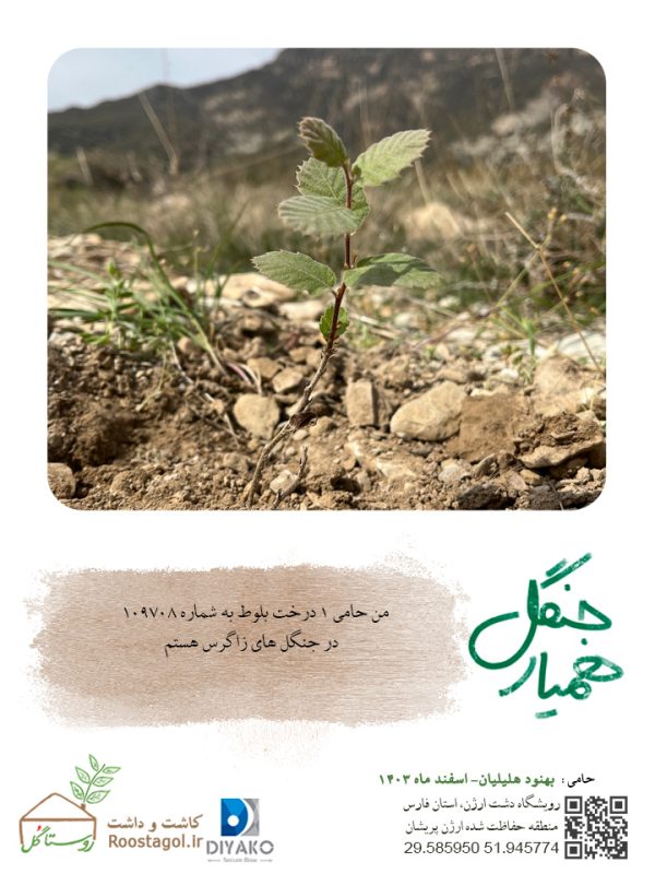 بهنود-هلیلیان