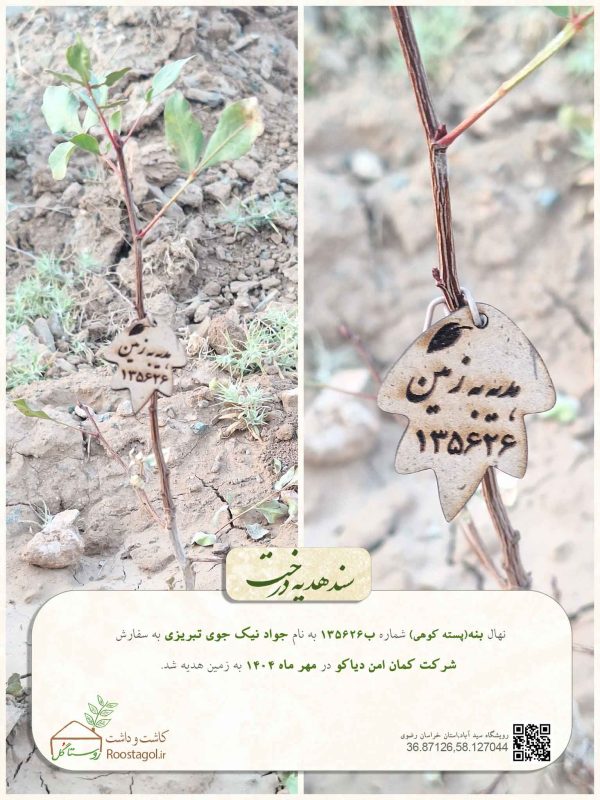 جواد-نیک-جوی-تبریزی