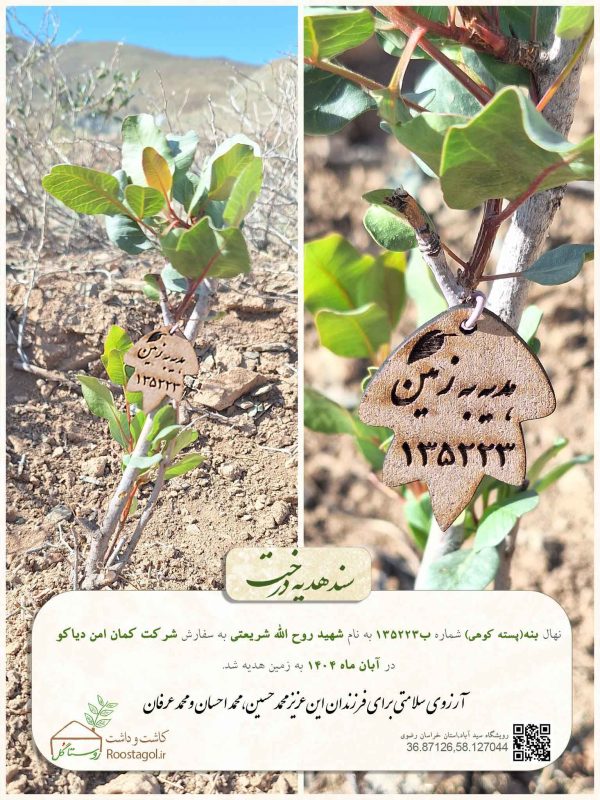 شهید-روح-الله-شریعتی