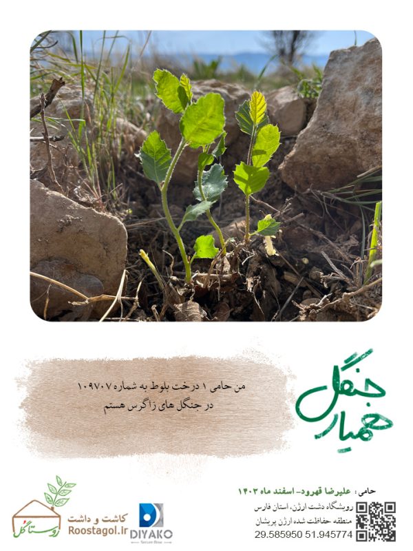 علیرضا-قهرود