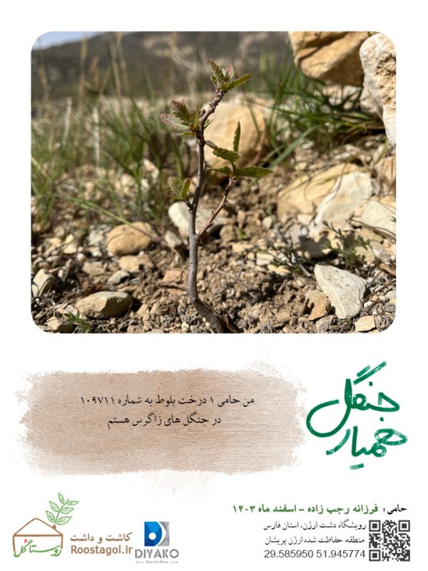 فرزانه-رجب-زاده