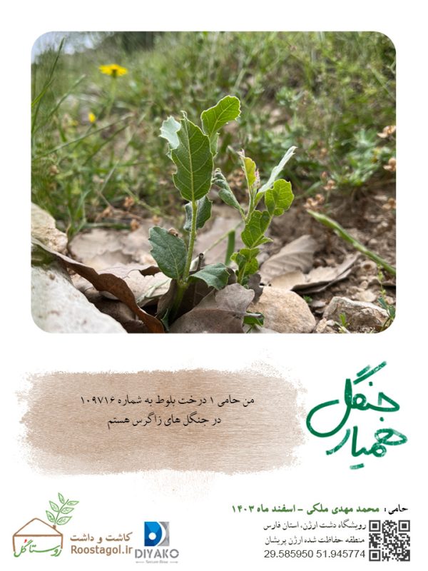 محمد-مهدی-ملکی