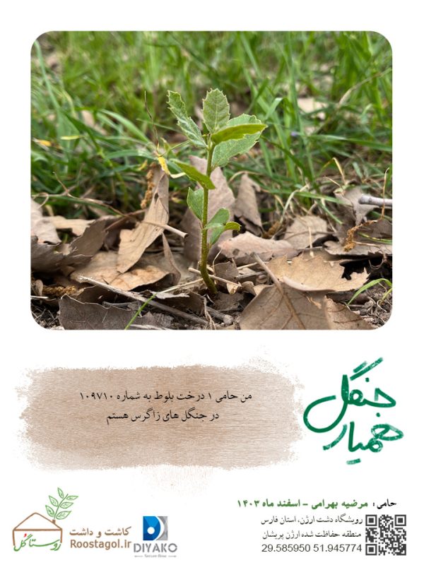 مرضیه-بهرامی