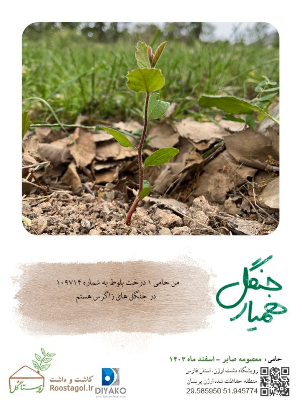 معصومه-صابر